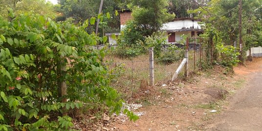 Lands of 15.5 cent for sale in Ollur,Thrissur.