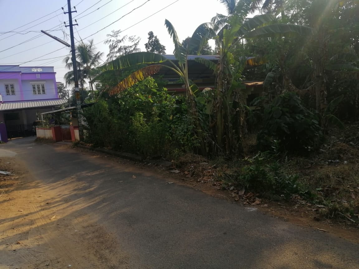 Residential land for sale Ayyanthole. Good residential land with only 2km from Thrissur city.Total land area is of 5 cent.Compound wall availible, peaceful area. The rate is only 8.25 lakhs per cent (Negotiable).