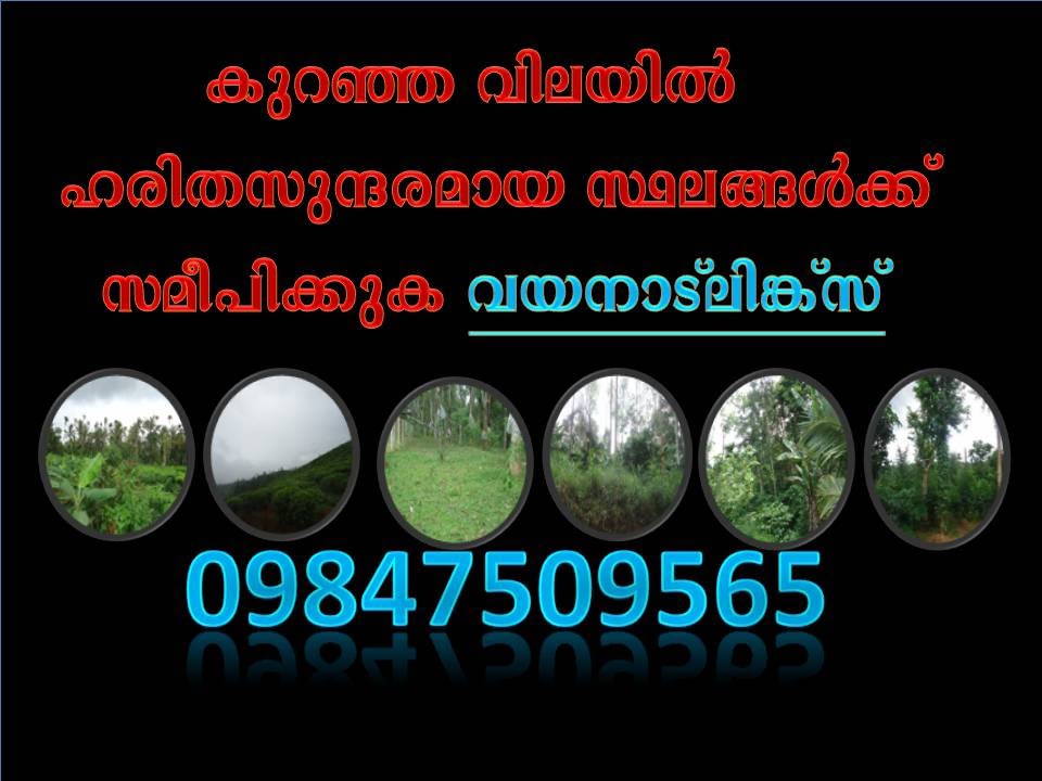 50 Cent Land with House for Sale at Choothupara, Wayanad Price -16 Lakhs
