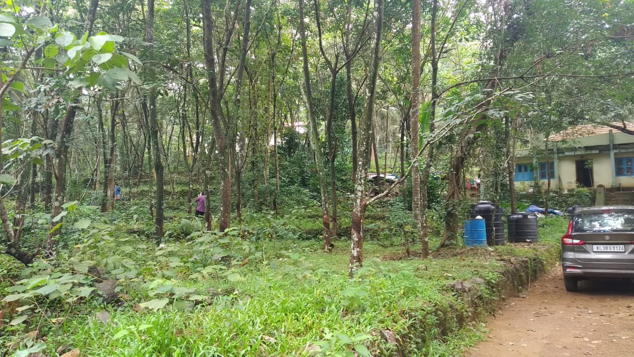 Land in Ezumattoor,mallapally