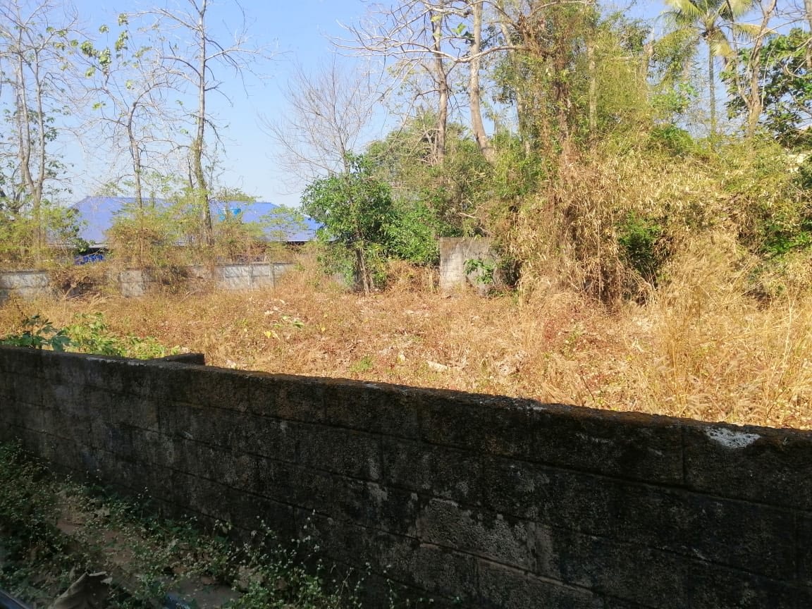 11 Cents Residential Land For Sale in Kuttur, Thrissur